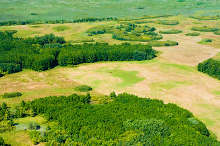 Aerial view of forest during a summer dayの写真素材
