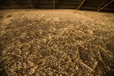 Pile of heaps of wheat grains at mill storage or grain elevator.の写真素材