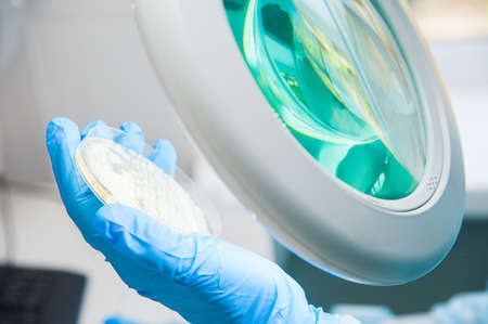 Working table with Biological samples on the microbiology laboratoryの写真素材