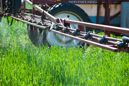Tractor spraying pesticides wheat field with sprayer at springの写真素材