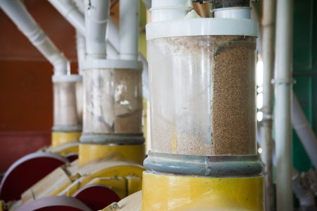 Electrical mill machinery for the production of wheat flour. Grain equipment.
