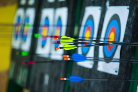 Archery. Arrows in archery target on archery range
