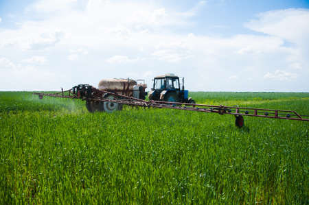 Tractor spraying pesticides wheat field with sprayer at springの写真素材