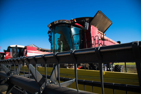 Combine harvesters, in a wheat field ready for harvest
