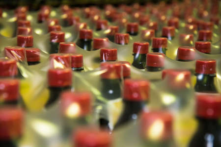 Food industry. Plastic bottles with a carbonated drink on the conveyorの写真素材