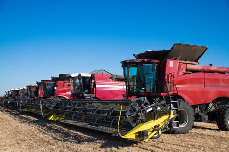 Combine harvesters, in a wheat field ready for harvestの写真素材