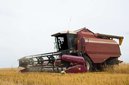 Combine harvesters in a field of wheat to harvestの写真素材