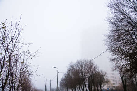 Rainy autumn in the city Park. Landscape. Fog. Leaf litter. Seasonの写真素材