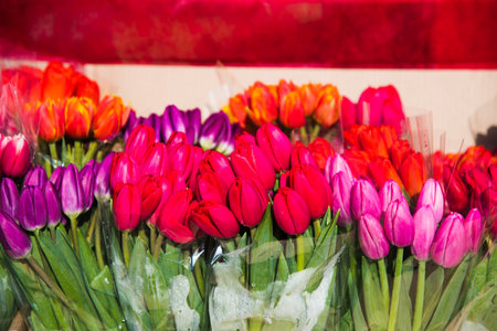 Flower market. Selling flowers. Bouquets of colorful tulipsの写真素材