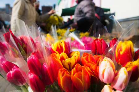Flower market. Selling flowers. Bouquets of colorful tulipsの写真素材