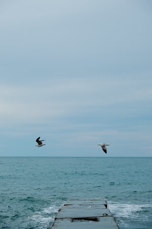 The old concrete pier on the background of the sunset sky and seagulls flying by. The seascapeの写真素材