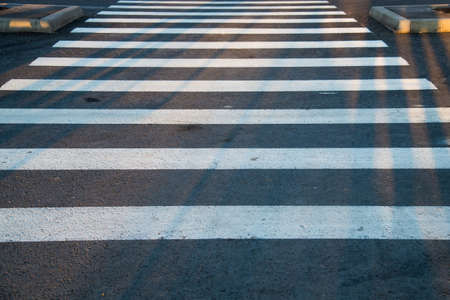 Road markings. The white line of the crosswalk on the black asphaltの写真素材
