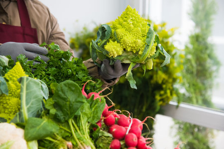 Cauliflower in boxes is sold on the shelves of the vegetable market