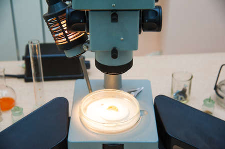 Close-up shot of microscope with metal lens at laboratoryの写真素材