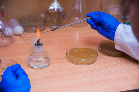 Interior of modern research laboratory. People at work in the scientific laboratoryの写真素材