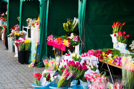Flower market. Selling flowers. Bouquets of colorful tulipsの写真素材