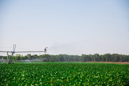 Automated farming irrigation sprinklers system on cultivated agricultural landscape fieldの写真素材