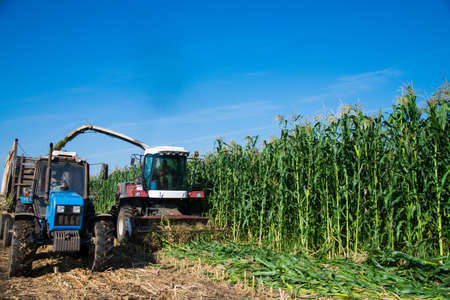 Field cleaning with the help of and harvesting with the help of agricultural machineryの写真素材