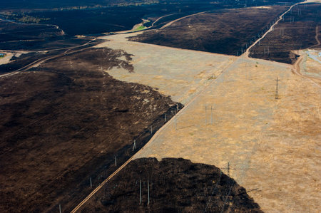Scorched trees and grass after the fire. Aerial view. Landscape