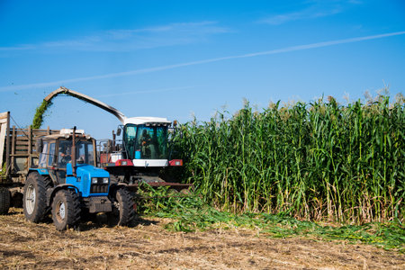Field cleaning with the help of and harvesting with the help of agricultural machineryの写真素材