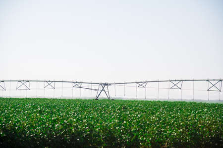 Automated farming irrigation sprinklers system on cultivated agricultural landscape fieldの写真素材