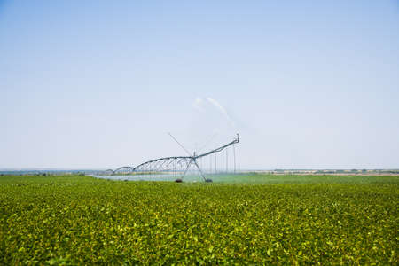 Automated farming irrigation sprinklers system on cultivated agricultural landscape fieldの写真素材