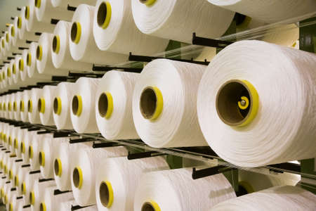 Many bobbins with white threads are used in the production of fabricの写真素材