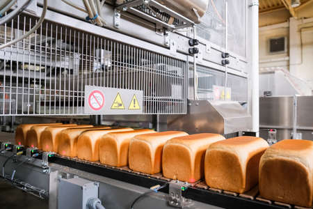 Loafs of bread in a bakery on an automated conveyor belt. Bread production. Food industryの写真素材
