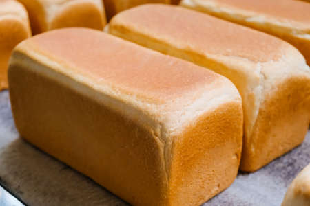 Loafs of bread in a bakery on an automated conveyor belt. Bread production. Food industryの写真素材