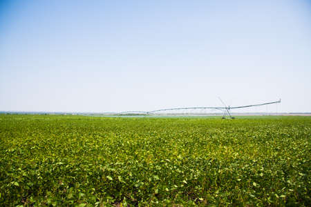Automated farming irrigation sprinklers system on cultivated agricultural landscape fieldの写真素材