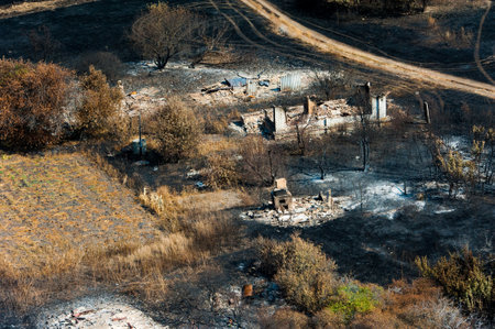 Scorched trees and grass after the fire. aerial view. Landscapeの写真素材