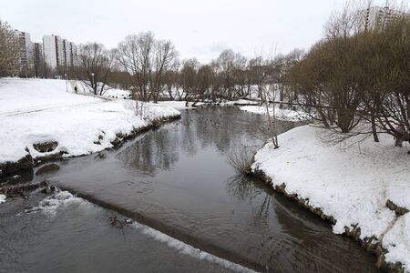 Ducks winter on the shore on a windy day.の写真素材