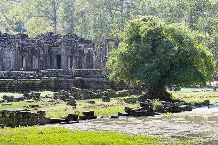 The ruins of Angkor Wat in the summer.の写真素材