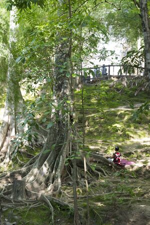 A woman sitting near an old tree in the Park.の写真素材