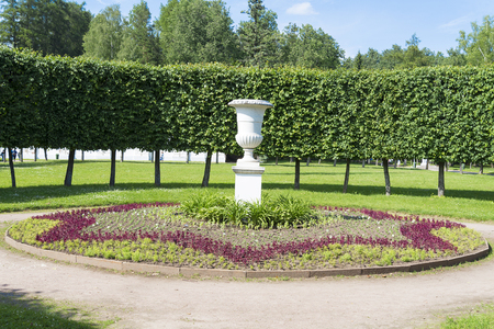 Flowerbed in the middle of the Park in the summer.の写真素材