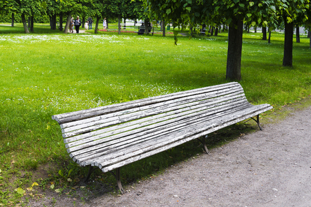 Old bench in the Park is in the summer garden.の写真素材