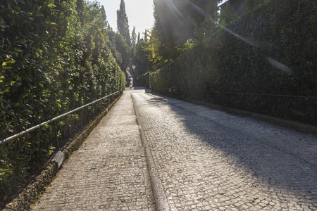 Paths on Villa D'este on a Sunny summer day.のeditorial素材