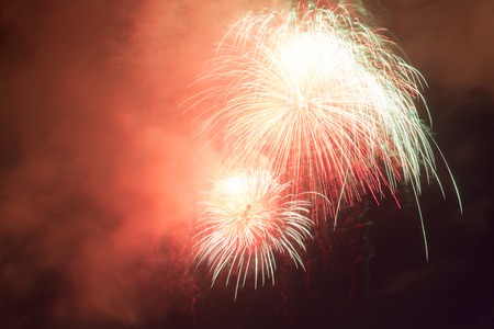 Colorful fireworks on the black sky backgroundの写真素材