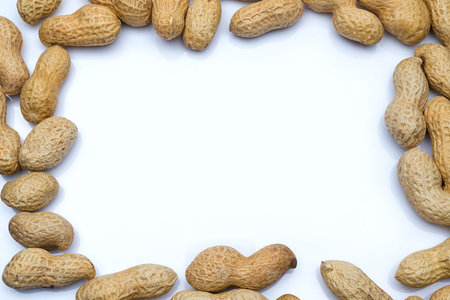 Peanut in the shell close-up. Isolated space for text.