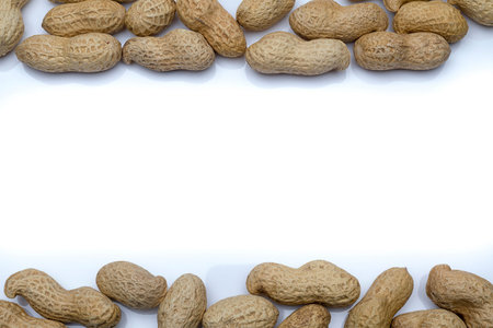 Peanut in the shell close-up. Isolated space for text.