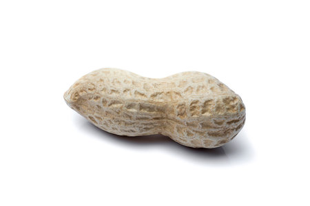 one peanuts isolated on white background in horizontal position.
