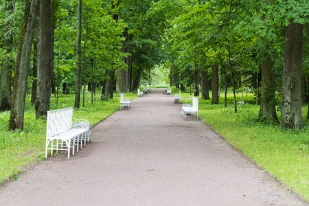 Summer Park with white benches and footpaths on a Sunny day.の写真素材