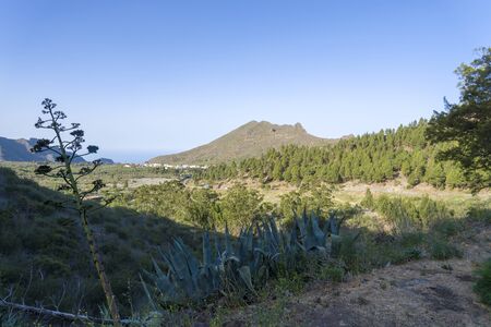 Elderly people sit and watch the sunset by the sea. The concept of eternal love.の写真素材