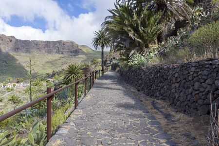 Good stone road with palm trees on the island of Tenerife. Travel and leisure concept.の写真素材