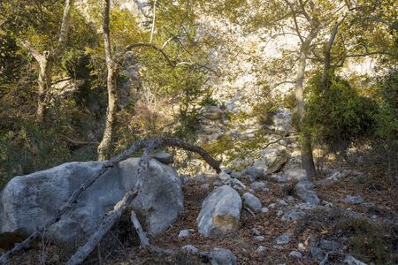 Mountains of avakas gorge in autumn. Hiking in the gorge. The concept of travel and tourism.の写真素材
