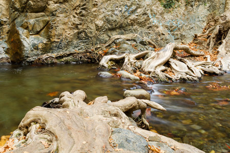 Mountain river close-up shooting with a slow shutter speed. The concept of travel and tourism.