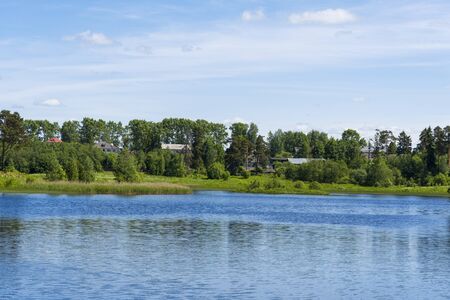 Pine forest near the river in the summer. Concept of travel and tourism.の写真素材