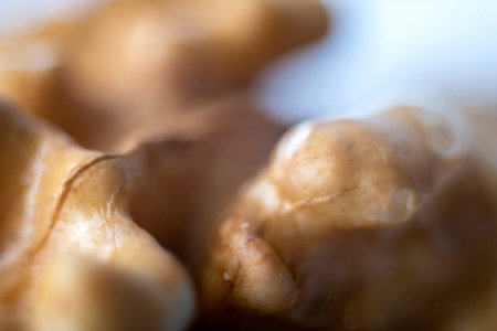 Walnut shot in close-up macro photography. The concept of healthy and healthy food.