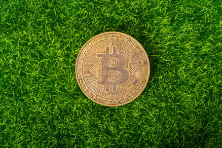 Money; bitcoin on grass background. Business, finance, Account, Economy, trade and investment concept.の写真素材