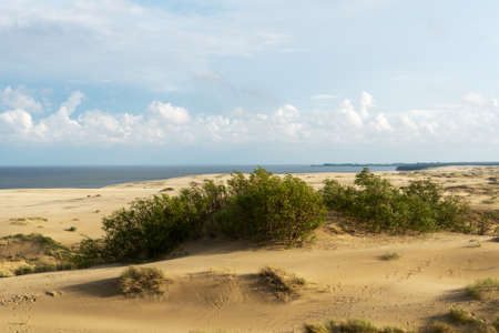 amazing view of sandy Gray Dunes at the Curonian Spit. The concept of tourism and recreation.の写真素材